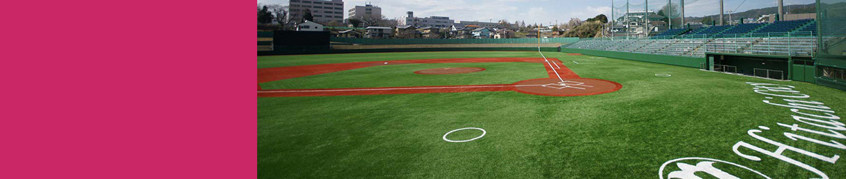 美浦村光と風の丘公園野球場 スタジアムガイド 茨城アストロプラネッツ 茨城県民球団 リーグ